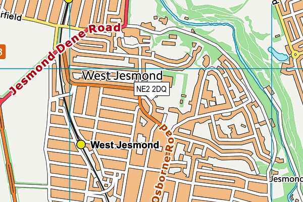 NE2 2DQ map - OS VectorMap District (Ordnance Survey)