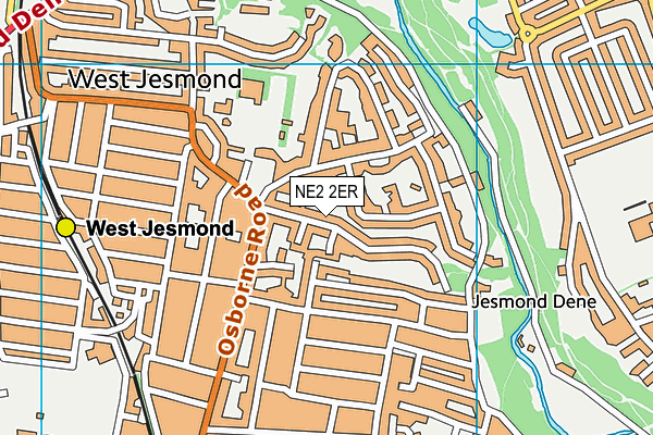 NE2 2ER map - OS VectorMap District (Ordnance Survey)