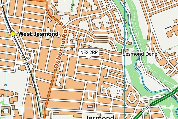 NE2 2RP map - OS VectorMap District (Ordnance Survey)