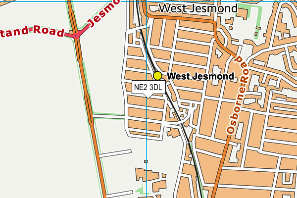 NE2 3DL map - OS VectorMap District (Ordnance Survey)