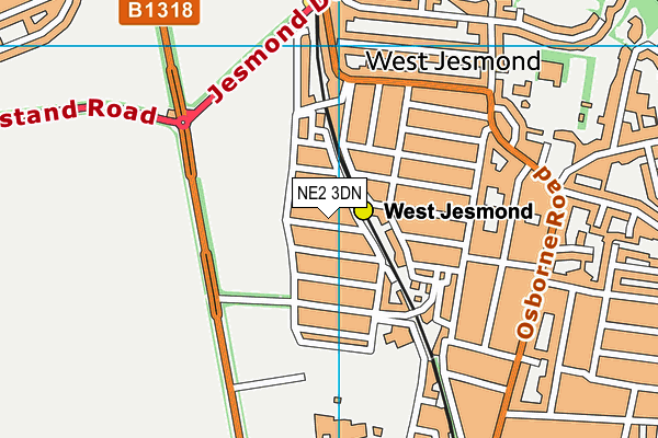 NE2 3DN map - OS VectorMap District (Ordnance Survey)