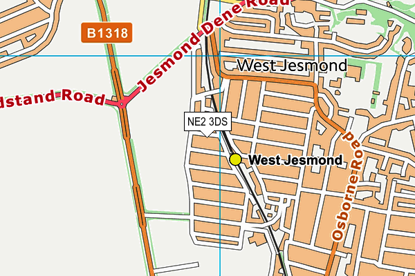 NE2 3DS map - OS VectorMap District (Ordnance Survey)