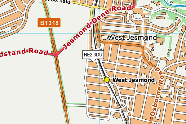 NE2 3DU map - OS VectorMap District (Ordnance Survey)