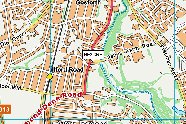 NE2 3RE map - OS VectorMap District (Ordnance Survey)