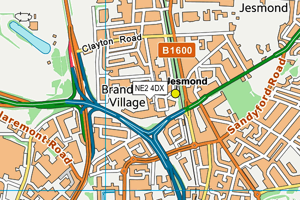 Royal Grammar School Newcastle map (NE2 4DX) - OS VectorMap District (Ordnance Survey)