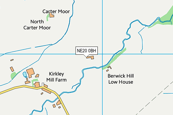 NE20 0BH map - OS VectorMap District (Ordnance Survey)