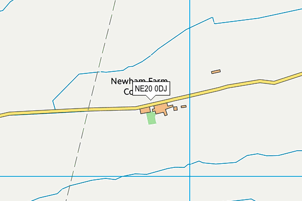 NE20 0DJ map - OS VectorMap District (Ordnance Survey)