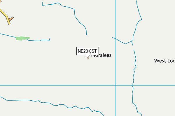 NE20 0ST map - OS VectorMap District (Ordnance Survey)