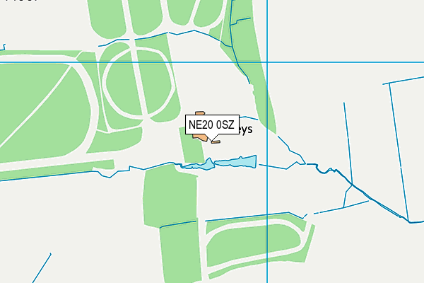 NE20 0SZ map - OS VectorMap District (Ordnance Survey)