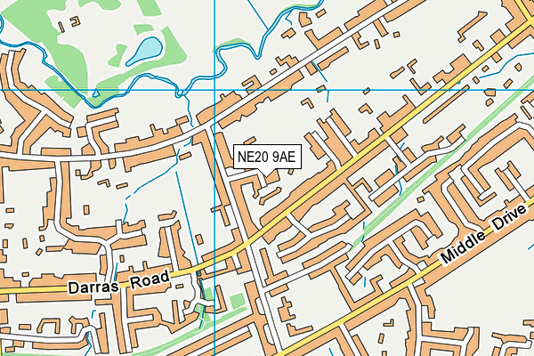 NE20 9AE map - OS VectorMap District (Ordnance Survey)
