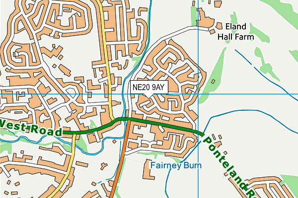 NE20 9AY map - OS VectorMap District (Ordnance Survey)