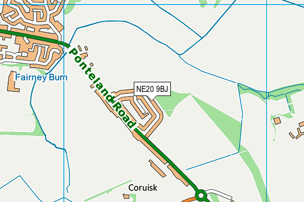 NE20 9BJ map - OS VectorMap District (Ordnance Survey)