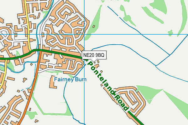 NE20 9BQ map - OS VectorMap District (Ordnance Survey)