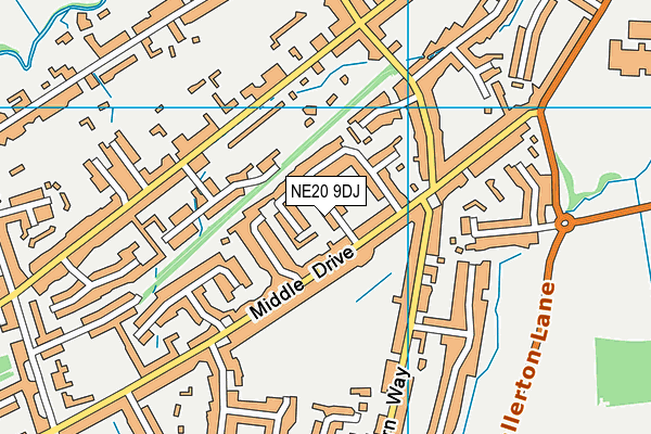 NE20 9DJ map - OS VectorMap District (Ordnance Survey)