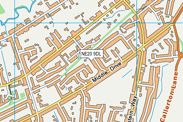 NE20 9DL map - OS VectorMap District (Ordnance Survey)