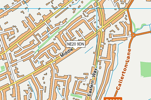 NE20 9DN map - OS VectorMap District (Ordnance Survey)