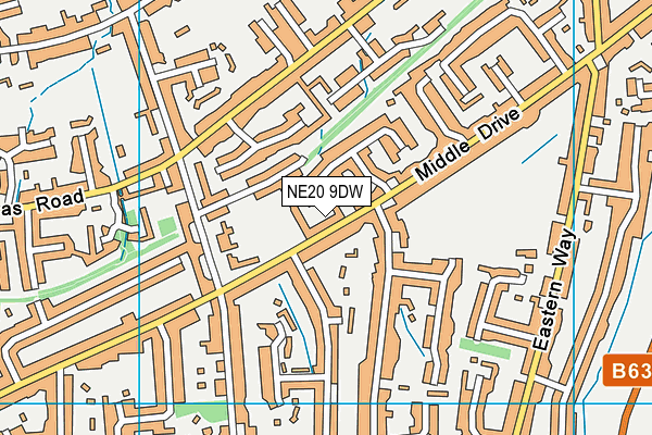 NE20 9DW map - OS VectorMap District (Ordnance Survey)