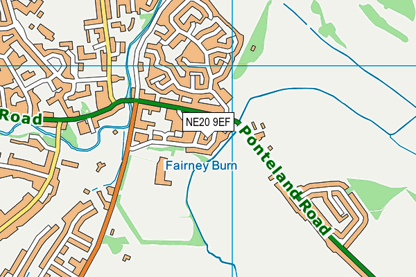 NE20 9EF map - OS VectorMap District (Ordnance Survey)