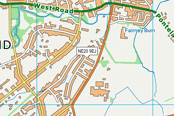 NE20 9EJ map - OS VectorMap District (Ordnance Survey)