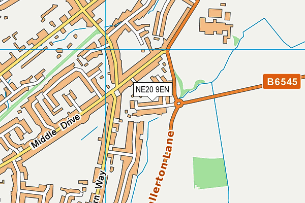 NE20 9EN map - OS VectorMap District (Ordnance Survey)