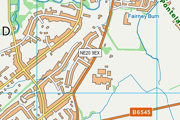 NE20 9EX map - OS VectorMap District (Ordnance Survey)