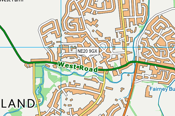 NE20 9GX map - OS VectorMap District (Ordnance Survey)