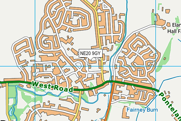 NE20 9GY map - OS VectorMap District (Ordnance Survey)