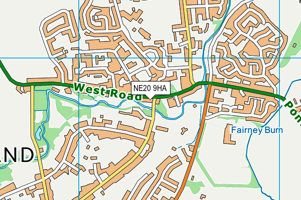 NE20 9HA map - OS VectorMap District (Ordnance Survey)