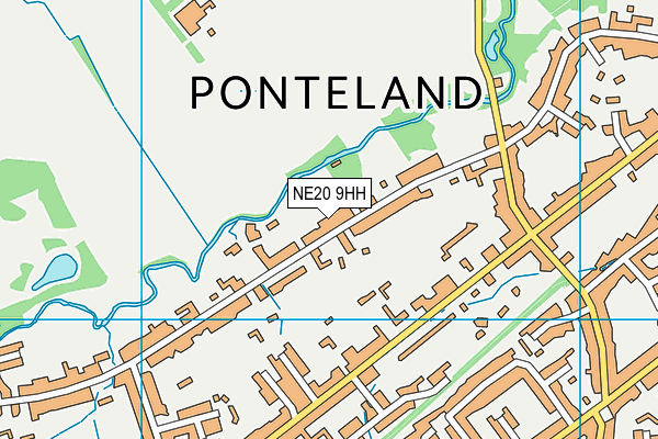 NE20 9HH map - OS VectorMap District (Ordnance Survey)