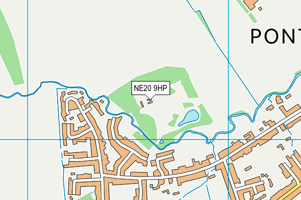 NE20 9HP map - OS VectorMap District (Ordnance Survey)