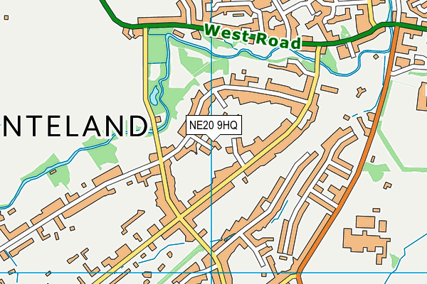 NE20 9HQ map - OS VectorMap District (Ordnance Survey)