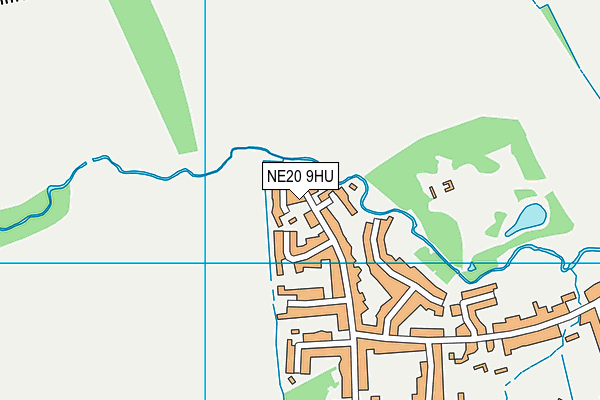 NE20 9HU map - OS VectorMap District (Ordnance Survey)