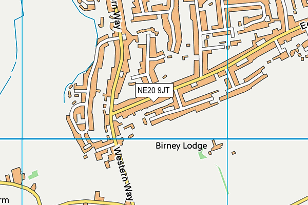 NE20 9JT map - OS VectorMap District (Ordnance Survey)