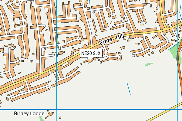 NE20 9JX map - OS VectorMap District (Ordnance Survey)