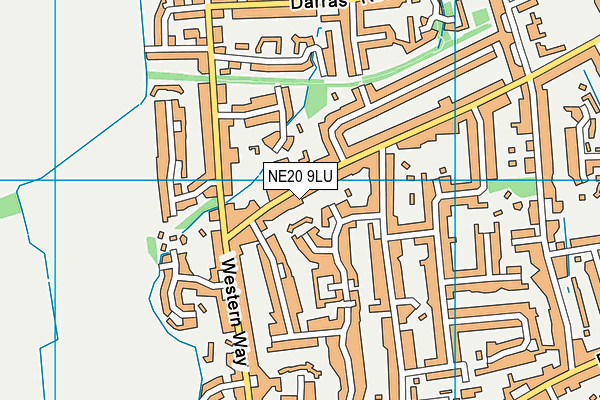 NE20 9LU map - OS VectorMap District (Ordnance Survey)
