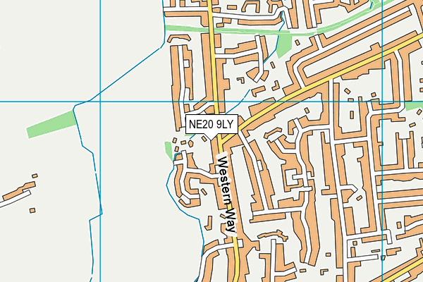 NE20 9LY map - OS VectorMap District (Ordnance Survey)