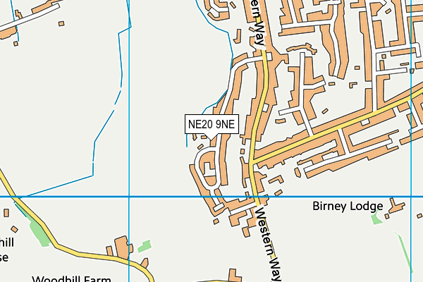 NE20 9NE map - OS VectorMap District (Ordnance Survey)