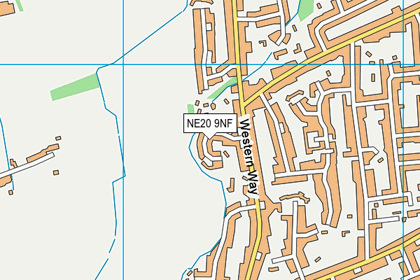 NE20 9NF map - OS VectorMap District (Ordnance Survey)