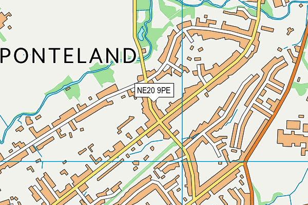 NE20 9PE map - OS VectorMap District (Ordnance Survey)
