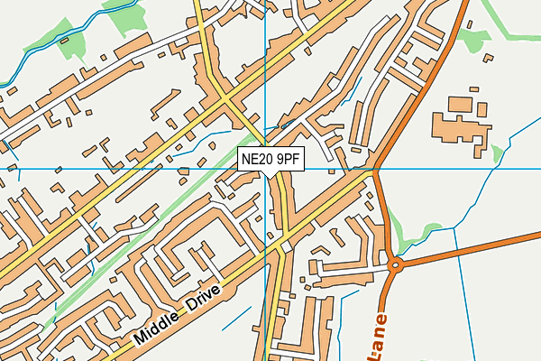 NE20 9PF map - OS VectorMap District (Ordnance Survey)
