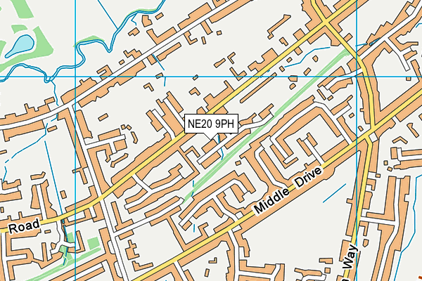 NE20 9PH map - OS VectorMap District (Ordnance Survey)