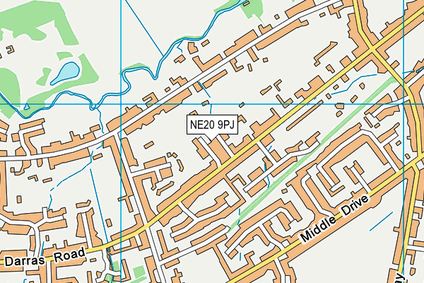 NE20 9PJ map - OS VectorMap District (Ordnance Survey)