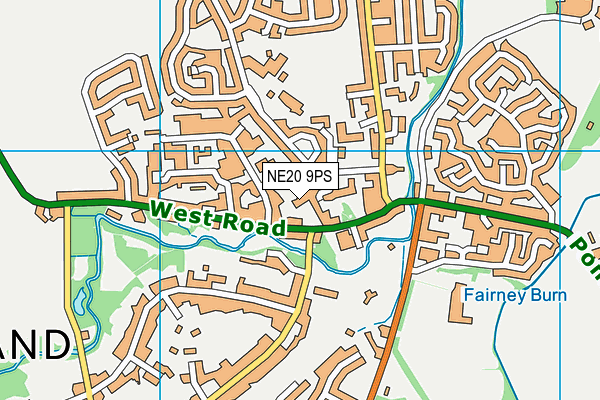 NE20 9PS map - OS VectorMap District (Ordnance Survey)