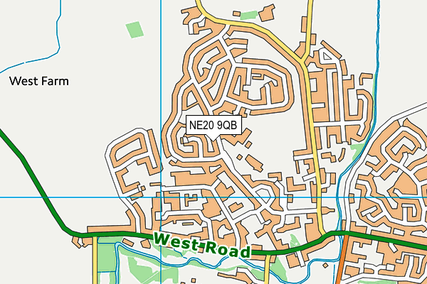 Emily Wilding Davison School map (NE20 9QB) - OS VectorMap District (Ordnance Survey)