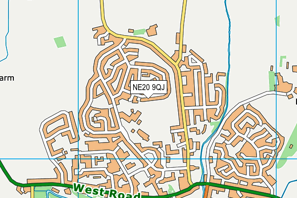 NE20 9QJ map - OS VectorMap District (Ordnance Survey)