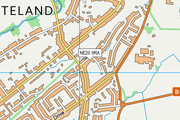 NE20 9RA map - OS VectorMap District (Ordnance Survey)