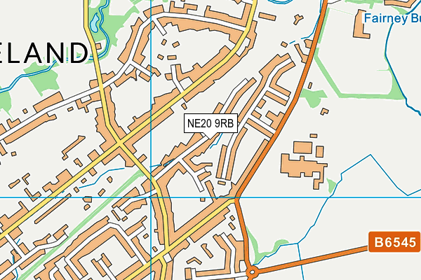 NE20 9RB map - OS VectorMap District (Ordnance Survey)