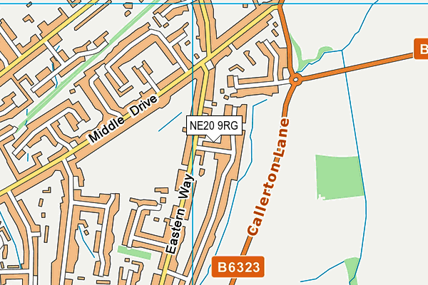 NE20 9RG map - OS VectorMap District (Ordnance Survey)