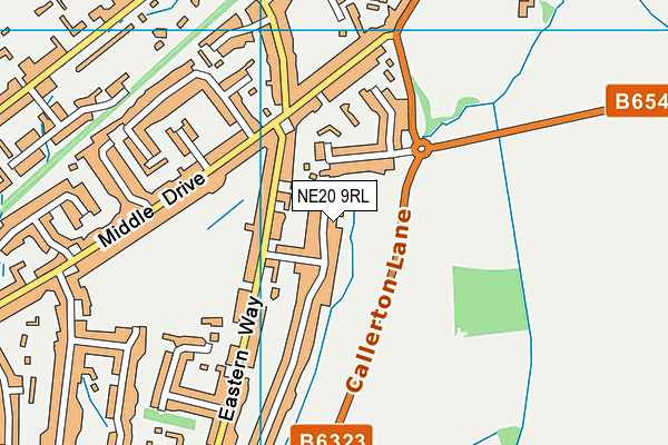 NE20 9RL map - OS VectorMap District (Ordnance Survey)