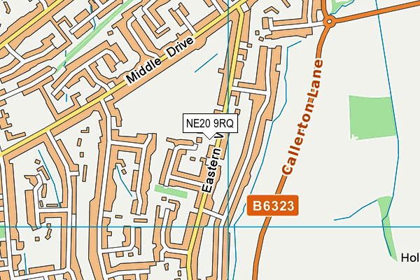 NE20 9RQ map - OS VectorMap District (Ordnance Survey)